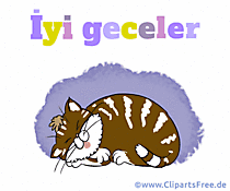 Animiertes Bild Gute Nacht auf Türkisch
