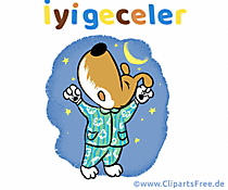 E-Card Gute Nacht auf Türkisch