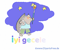 Wie sagt man Gute Nacht auf Türkisch