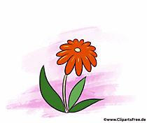 Wunsch Guten Abend auf Englisch - Gif Cliparts kostenlos