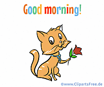Guten Morgen in Englisch Bild mit Katze und Rose