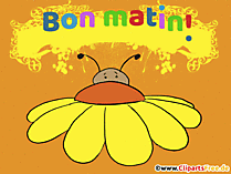 Guten Morgen in französischer Sprache Gif-Animation
