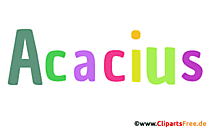 Acacius Vorname für Jungen als animiertes Gif Bild