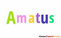 Amatus persönliches Namensbild -  Bilder mit Vornamen