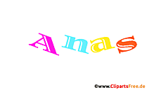 Anas Vorname für Baby - Liste mit Vornamen für Jungs