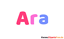 Ara Vorname Bild mit Deko Schrift - Vornamen für Jungs