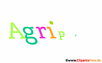 Agrippa Vorname - Seltene Mädchennamen als Bilder