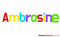 Ambrosine Vorname für Mädchen - Schöne Frauenvornamen mit Deko-Buchstaben