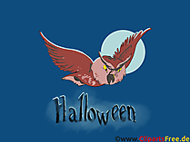 Clip Art Uhu - Illustrationen, Bilder, Grafiken, Cliparts, Comics, Cartoons zu Halloween Clip Art Uhu - Illustrationen, Bilder, Grafiken, Cliparts, Comics, Cartoons zu Halloween