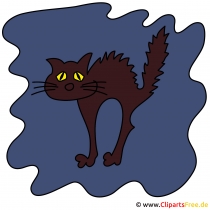 Gif zu Halloween - Black Cat