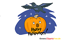 Kostenloses Bild Kürbis