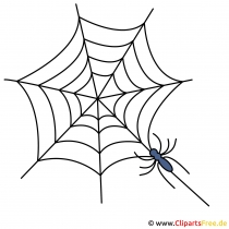 Spinne Cliparts kostenlos