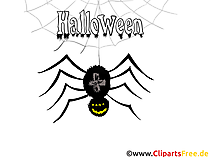 Spinne Illustration - Illustrationen, Bilder, Grafiken, Cliparts, Comics, Cartoons zu Halloween Spinne Illustration - Illustrationen, Bilder, Grafiken, Cliparts, Comics, Cartoons zu Halloween