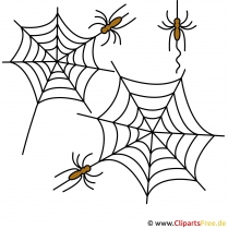 Spinnen Clipart