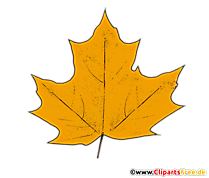 Ahornblatt gelb Bild - Herbst Cliparts