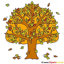 Дрво у јесен