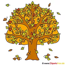 Arbre d'automne