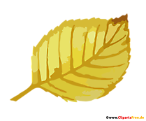 Linde Baumblatt im Herbst Clipart, Bild transparent