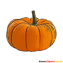Bild Kürbis im PNG-Format