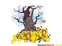 Bilder herunterladen zum Thema Herbst