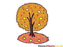 Bilder zum goldenen Herbst - Baum im Herbst