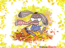 Bilder zum runterladen - Hase im Herbst