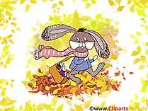 Bilder zum runterladen - Hase im Herbst