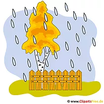 Birke Clipart - Herbst Bilder gratis