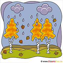Birken Bild - Clip Art Herbst