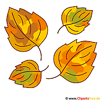 Leaves Clipart - Autumn pictures gratis