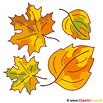 Leaf, leaves, tree leaf - fall pictures for free