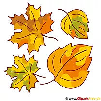 Foglia, foglie, foglia d'albero - immagini autunnali gratis