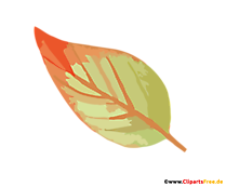 Blatt Clipart - Herbst Bilder
