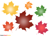 Bunte Baumblätter im Herbst Clipart, Bild, Illustration