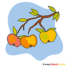 Cartoon appels - stock foto's van de herfst