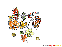 Clipart und Bilder Herbst