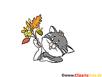 Comic-Bild Katze gratis