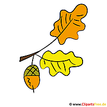 Acorn Clipart - Autumn pictures gratis