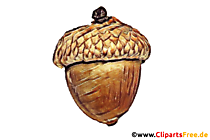 Eichel gemalt Bild zum Drucken