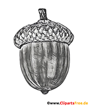 Eichel PNG-Clipart schwarz-weiß
