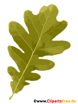 Eichenblatt im Herbst Clipart kostenlos