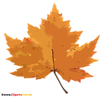 Gelbes Ahornblatt PNG - Herbst Bilder kostenlos