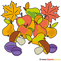 Herfst foto - paddestoelen, appels, peren clipart