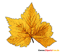 Herbst Bild Baumblatt gelb transparent