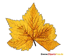 Herbst Bild Baumblatt gelb transparent