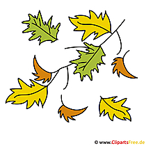 Herfstfoto's - eikblad illustraties