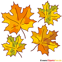 Fall clipart gratis