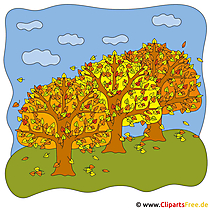 Herbstwald Bild gratis zum Ausdrucken