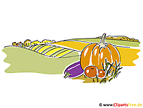 Hintergrundbilder Herbst