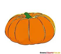 Illustration Kürbis mit transparentem Hintergrund